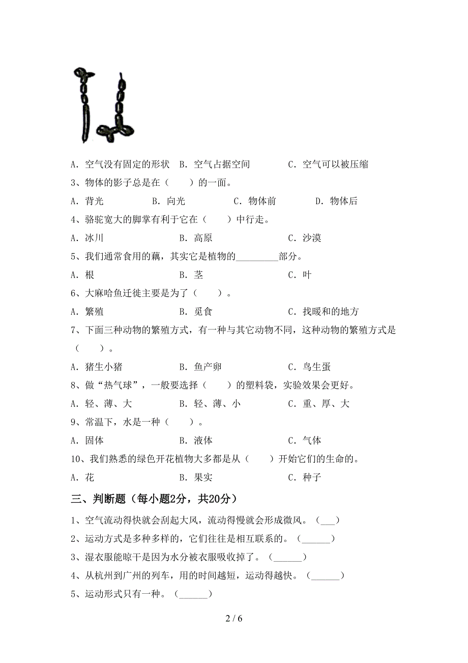 2022年苏教版三年级科学上册期中测试卷及答案【最新】.doc_第2页