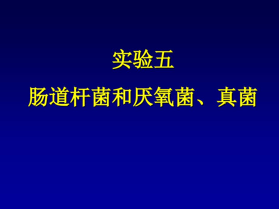 微生物课件-实验-5实验五、肠道杆菌和厌氧菌等_第1页