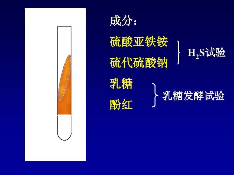 微生物课件-实验-5实验五、肠道杆菌和厌氧菌等_第5页