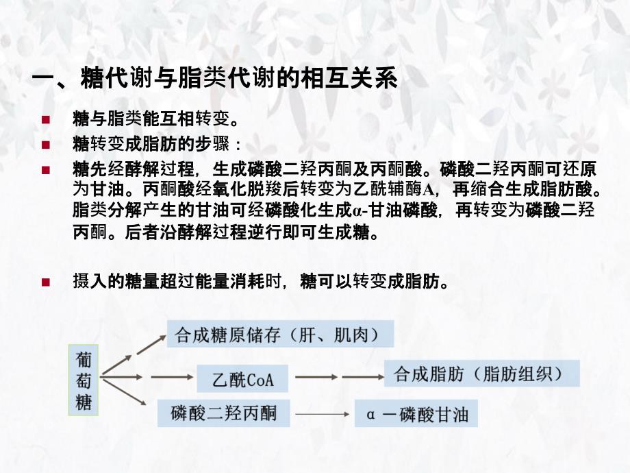 第十三部分代谢调节教学课件_第4页