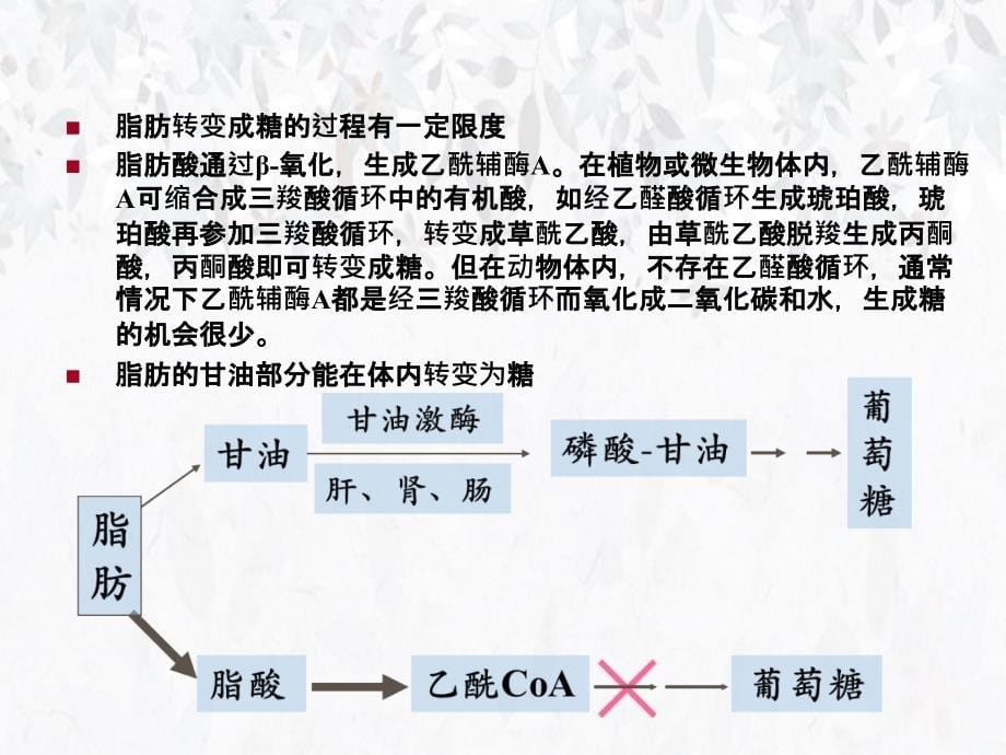 第十三部分代谢调节教学课件_第5页