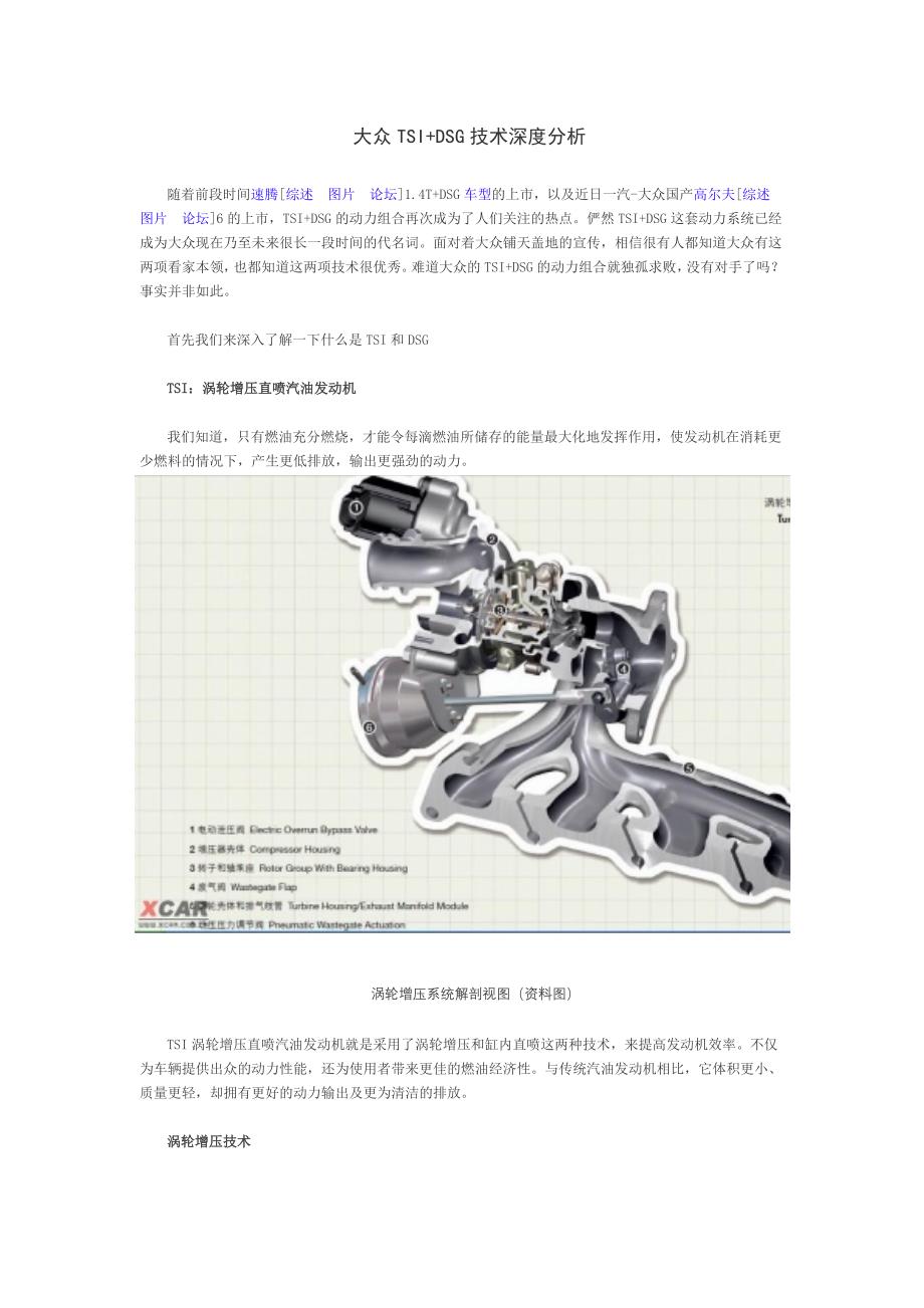 大众TSIDSG技术深度分析_第1页