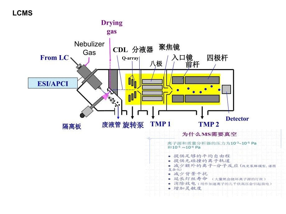 LC-MS原理以及应用课件.ppt_第5页