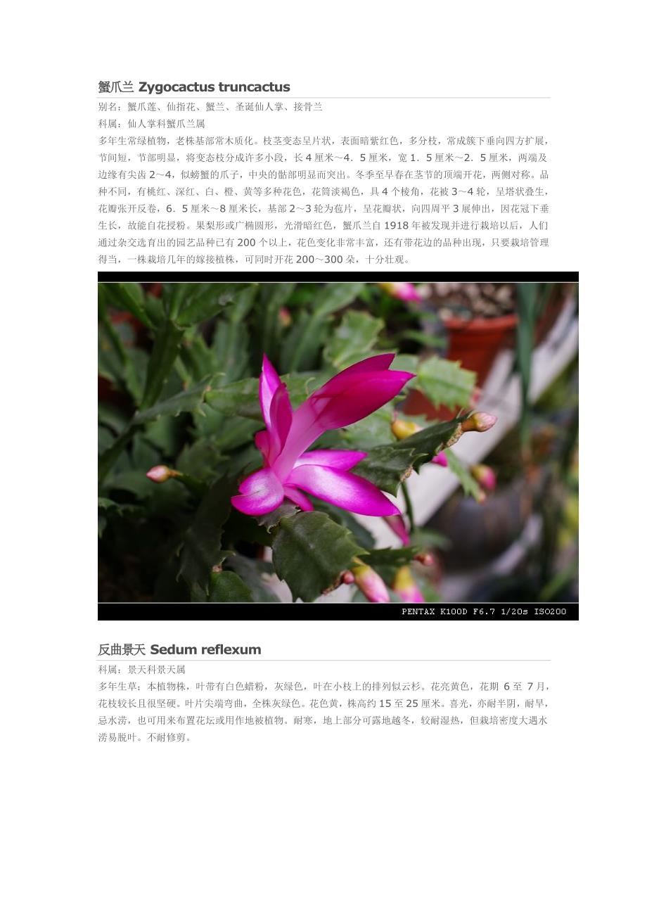 多浆植物 (2).doc_第1页