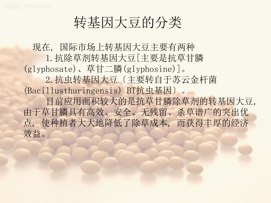 转基因大豆介绍ppt课件_第4页