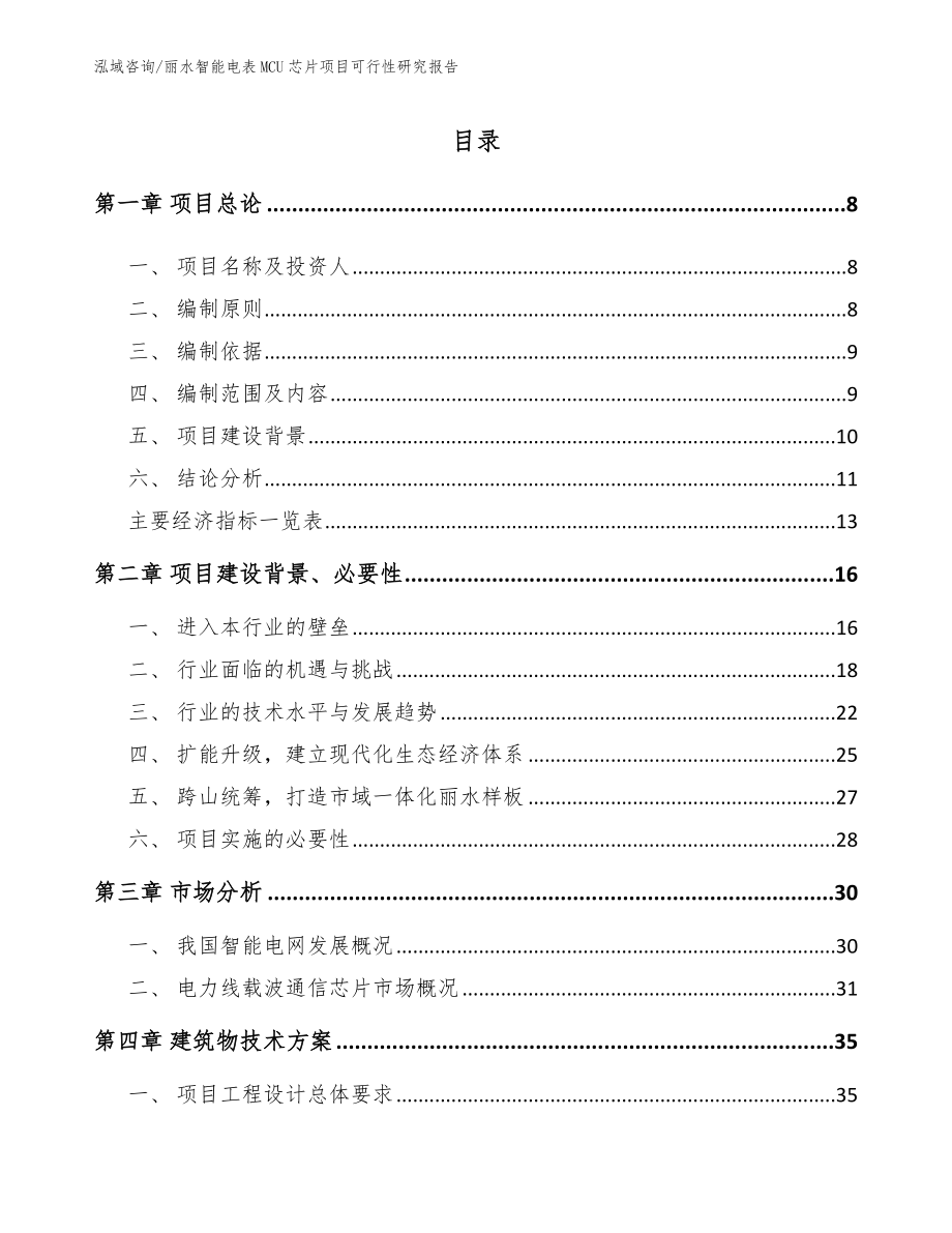 丽水智能电表MCU芯片项目可行性研究报告_第2页