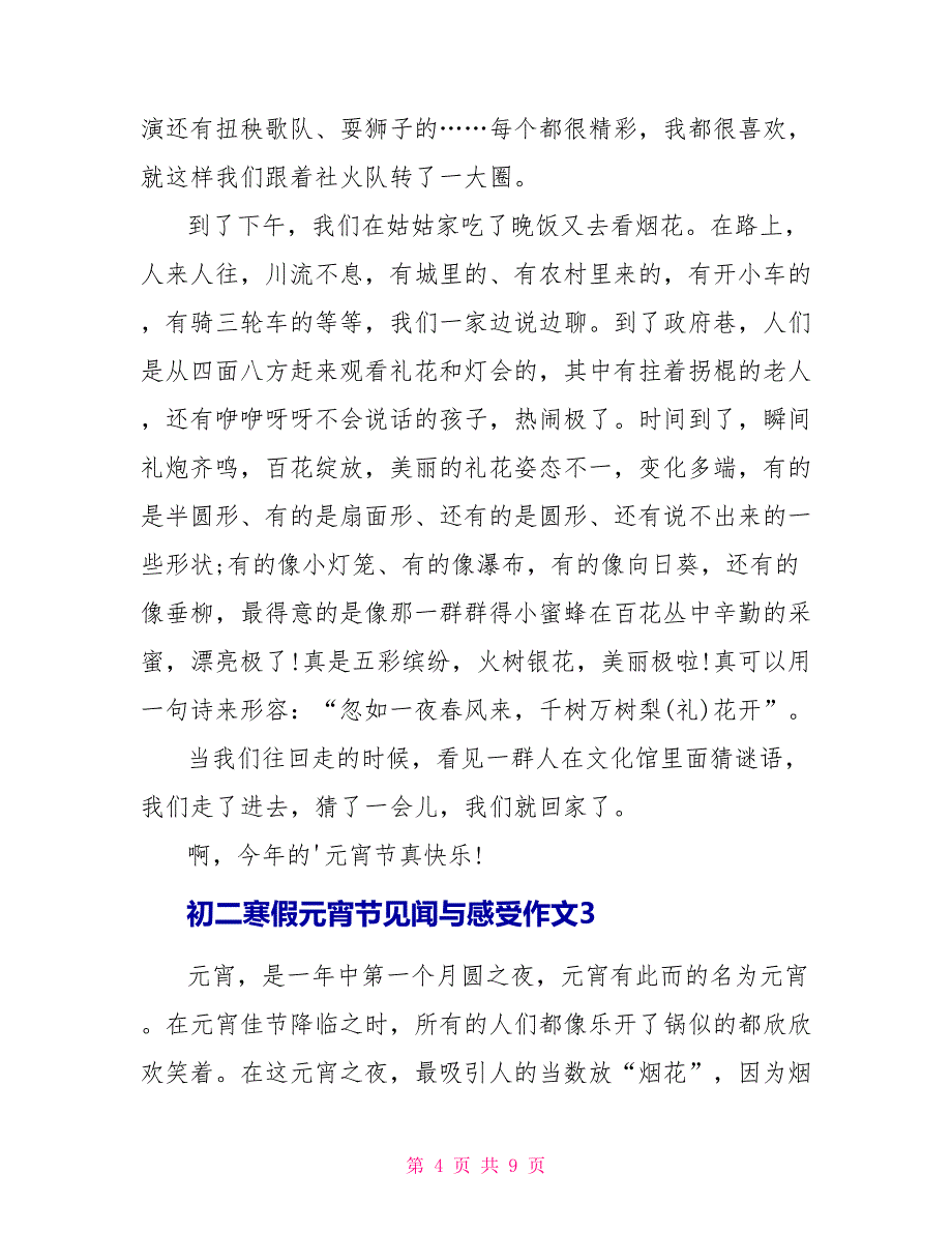 初二寒假元宵节见闻与感受作文.doc_第4页