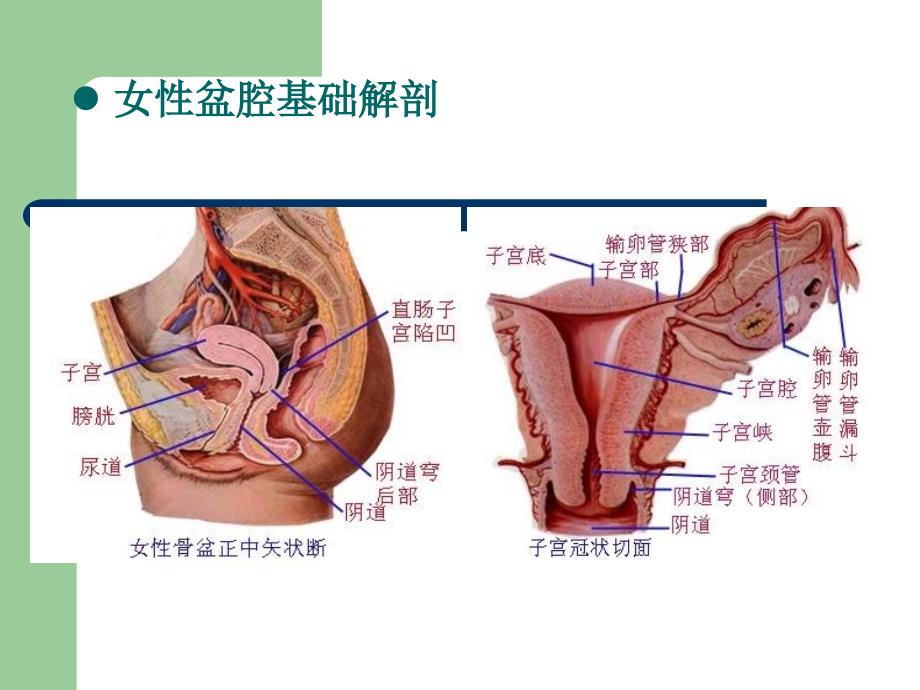 子宫内膜癌的MRI评价.ppt_第2页