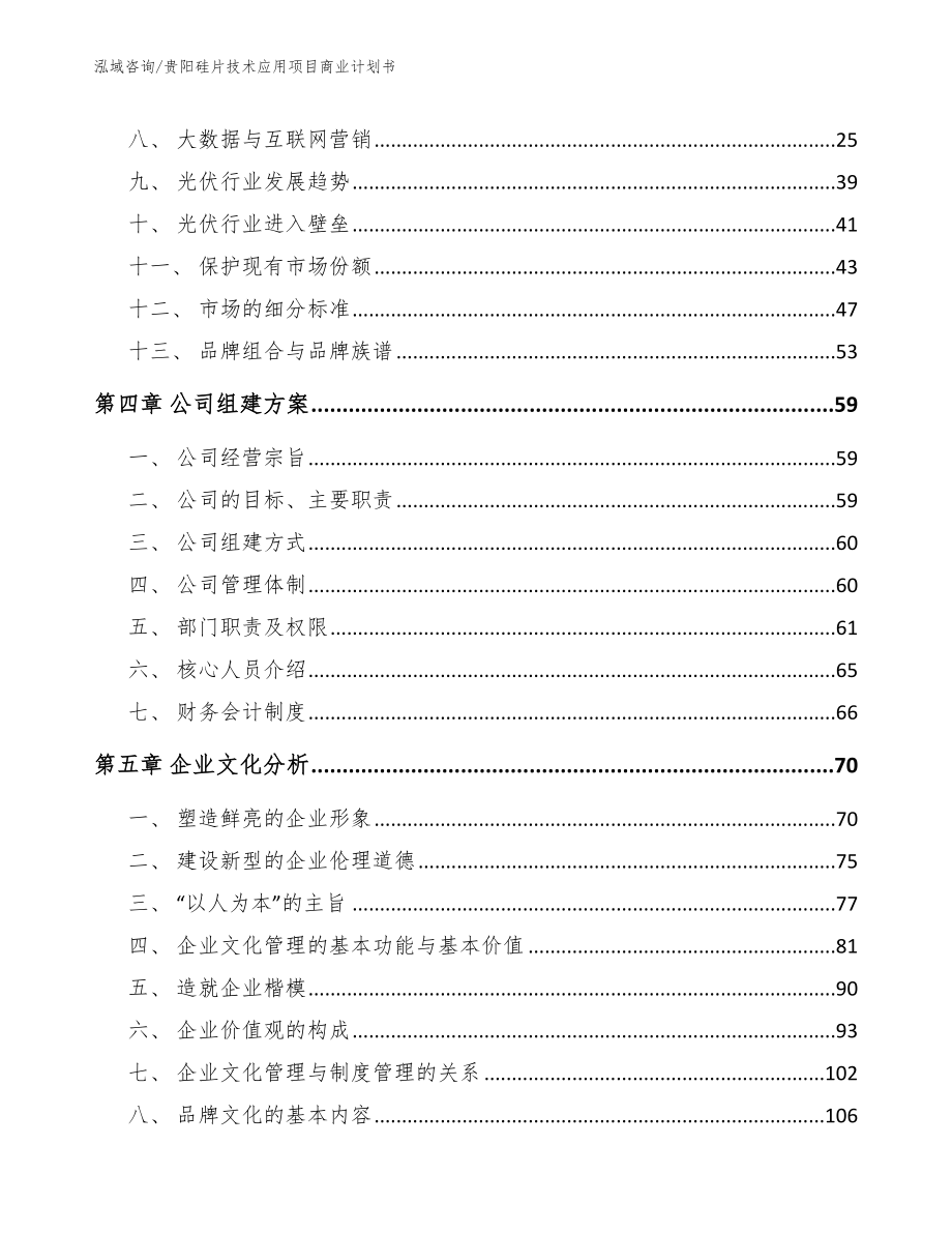 贵阳硅片技术应用项目商业计划书_第2页