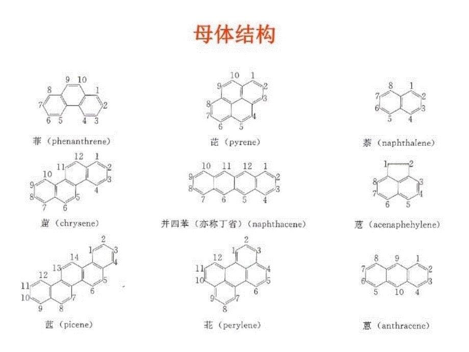 最新安全性第三章第四节PPT课件_第5页