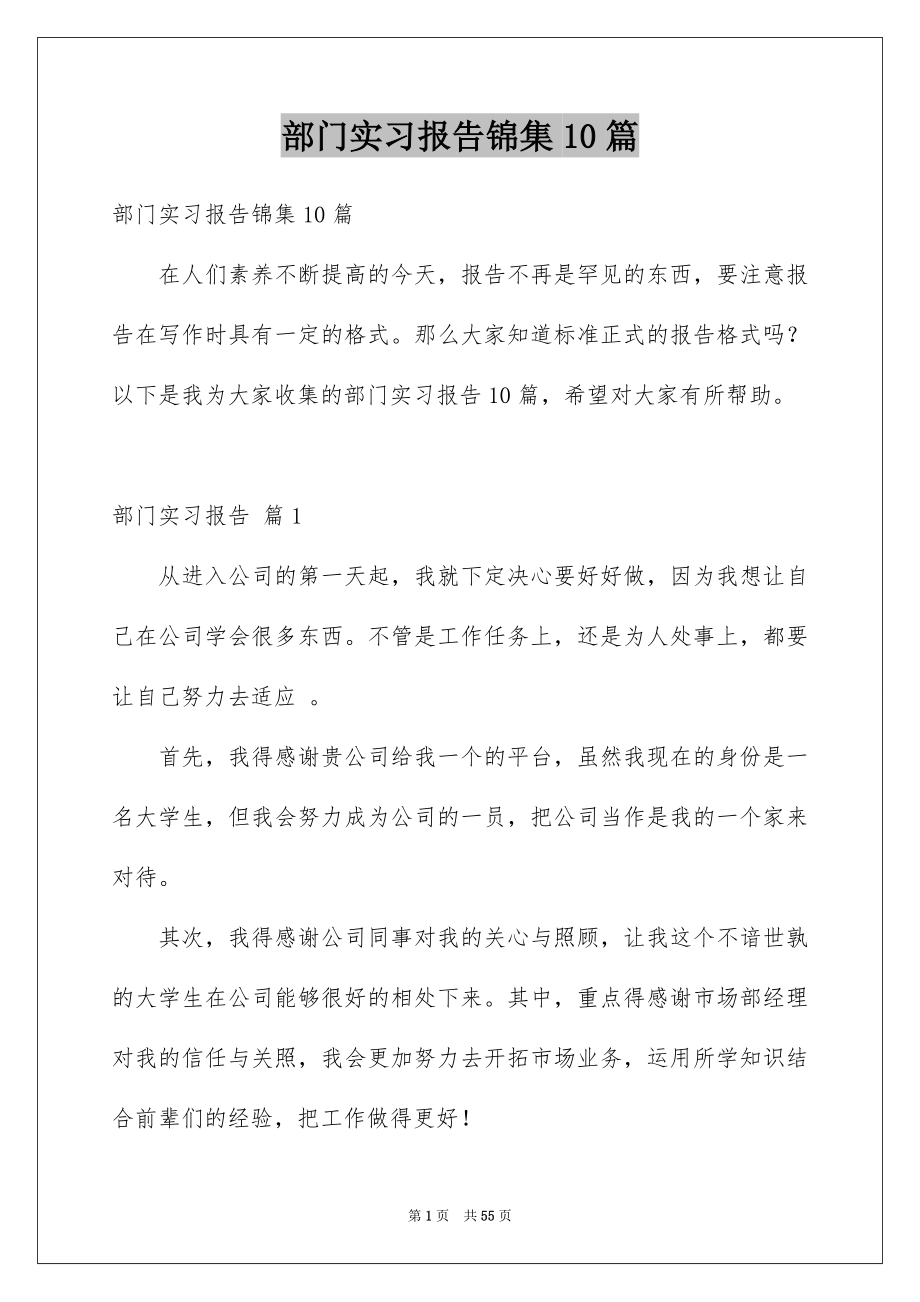 部门实习报告锦集10篇_第1页