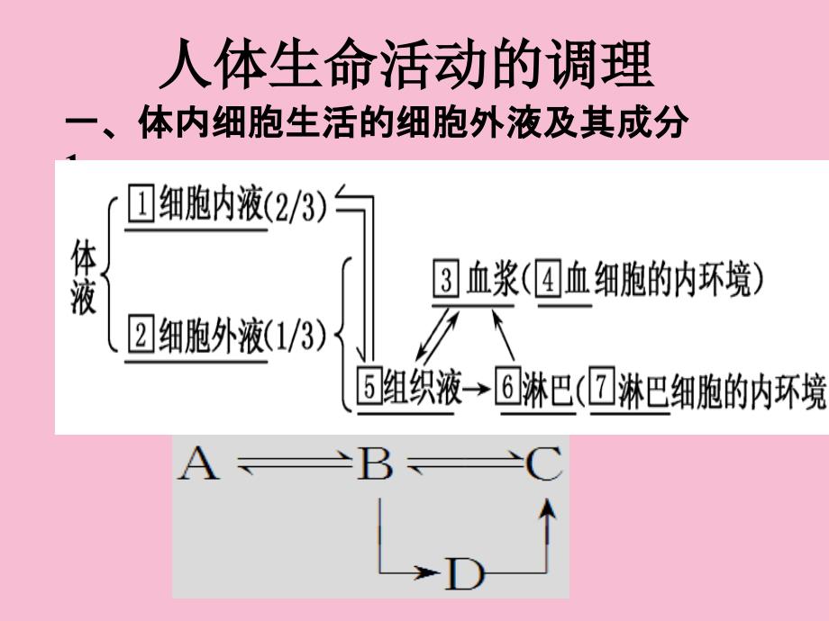 人体内环境及其稳态ppt课件_第1页