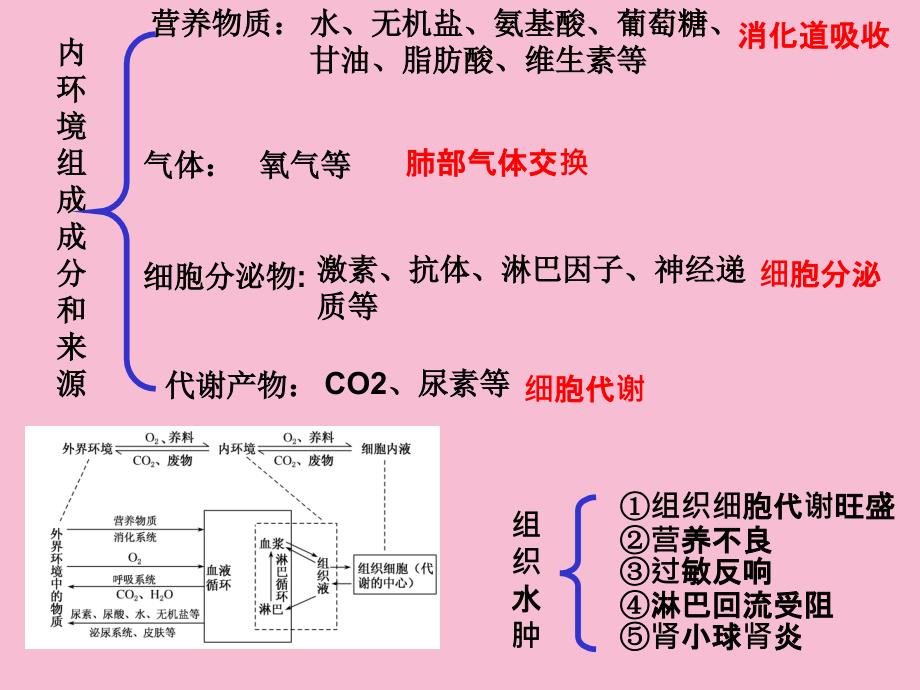 人体内环境及其稳态ppt课件_第4页