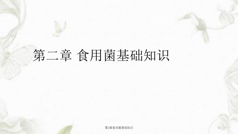 第2章食用菌基础知识课件_第1页