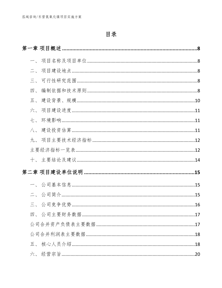 东营氢氧化镍项目实施方案_范文_第1页