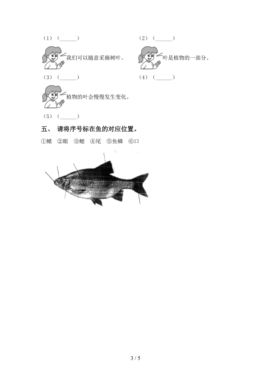 苏教版一年级科学下册期中考试题及答案【各版本】.doc_第3页