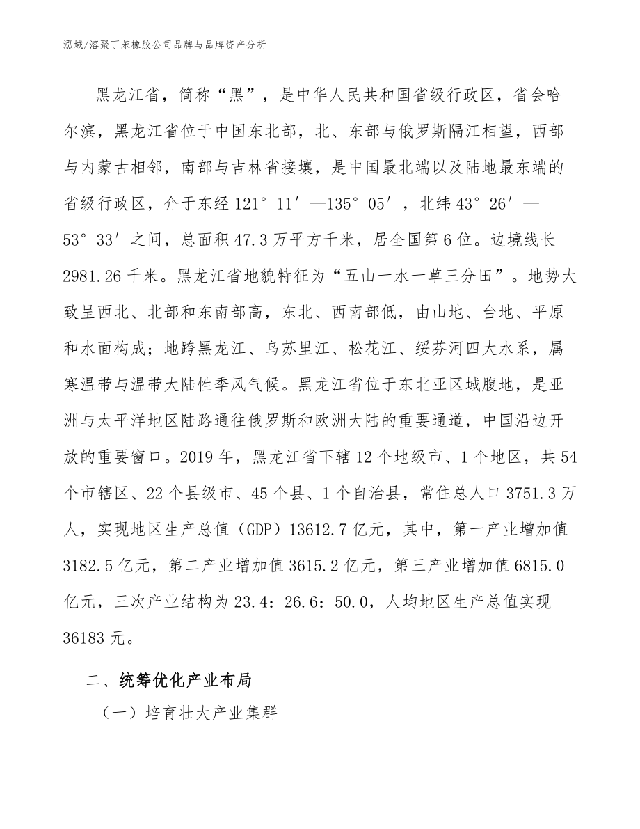 溶聚丁苯橡胶公司品牌与品牌资产分析_参考_第3页