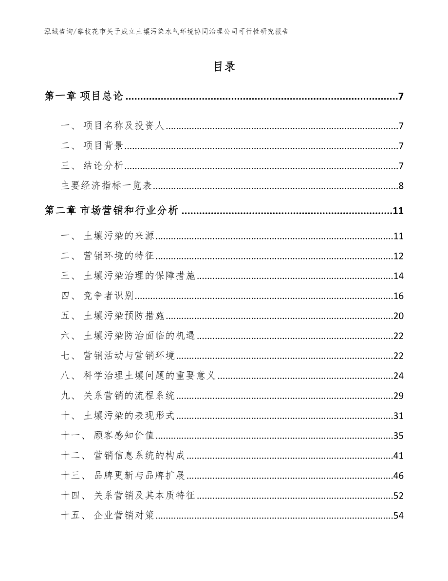 攀枝花市关于成立土壤污染水气环境协同治理公司可行性研究报告参考范文_第2页