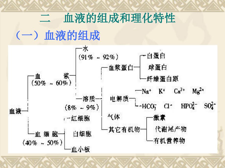 人体解剖生理学第四章血液_第3页