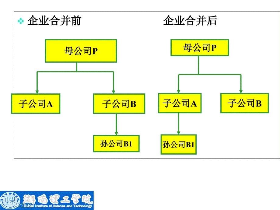 企业合并及会计处理_第5页