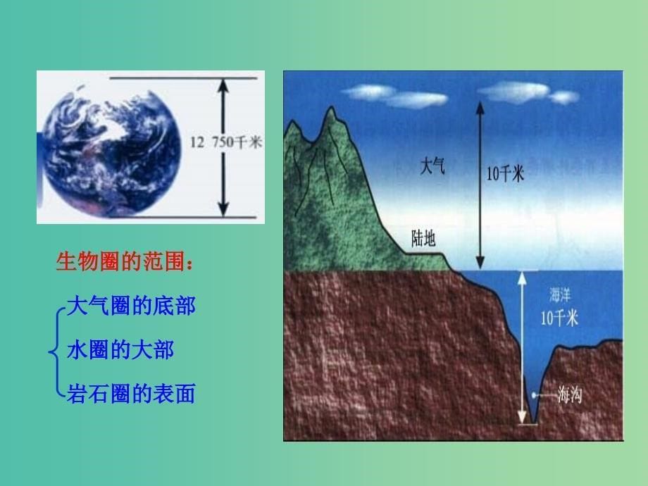 七年级生物上册 1.2.3 生物圈是最大的生态系统教学课件 新人教版.ppt_第5页