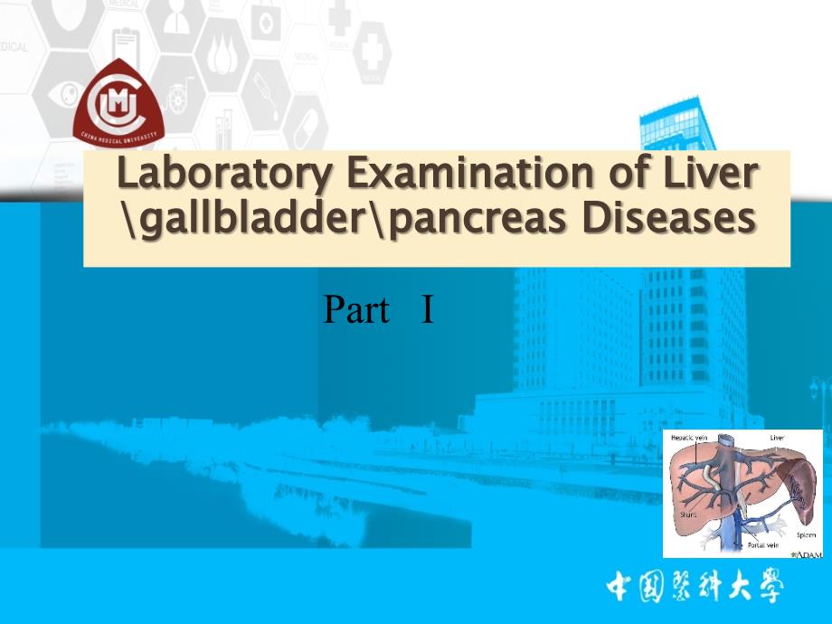 诊断学英文课件：Laboratory Examination of Liver_第1页