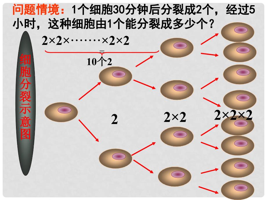 山东省冠县东古城镇中学七年级数学上册《1.5有理数的乘方》课件 青岛版_第2页