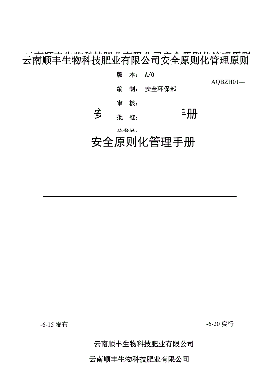 安全重点标准化标准手册_第1页