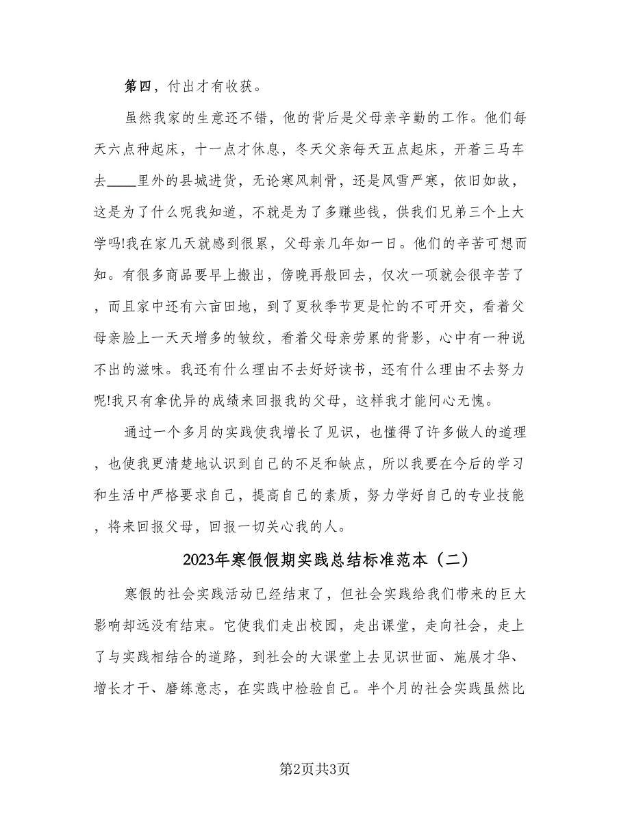 2023年寒假假期实践总结标准范本（二篇）.doc_第2页