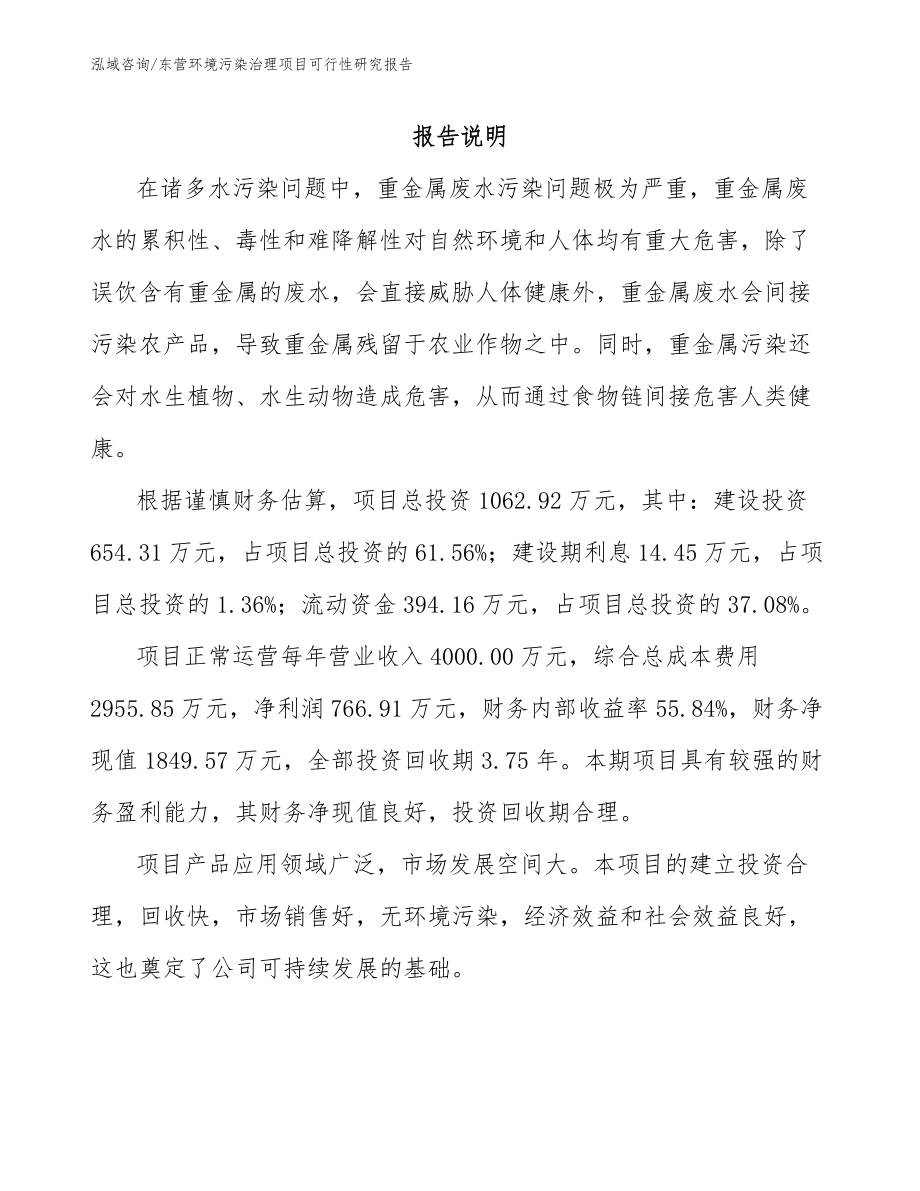 东营环境污染治理项目可行性研究报告（范文参考）_第2页