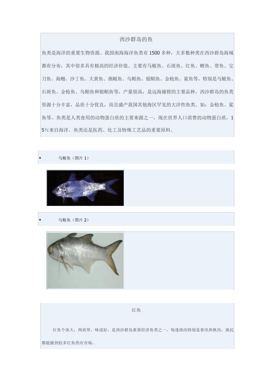 西沙群岛的鱼课件资料_第1页