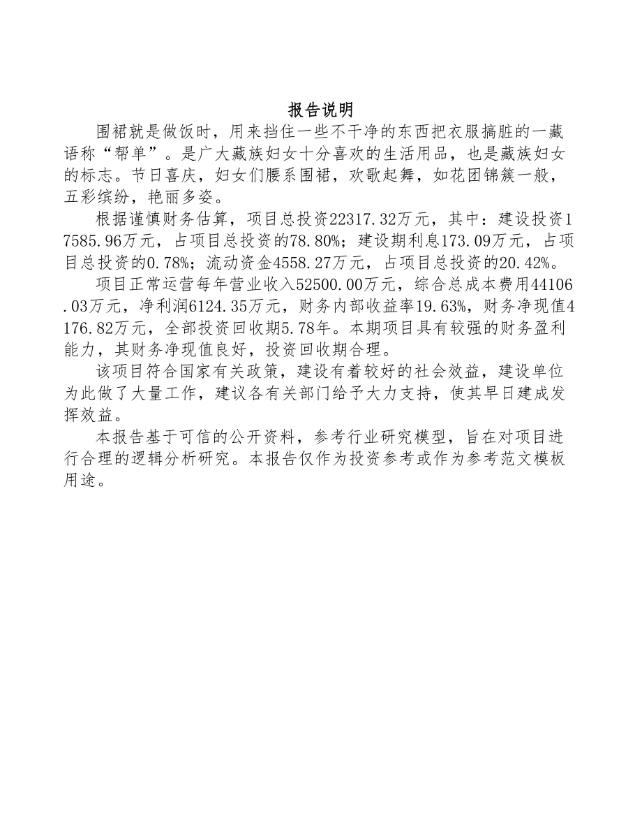 陕西围裙项目可行性研究报告(DOC 91页)_第2页