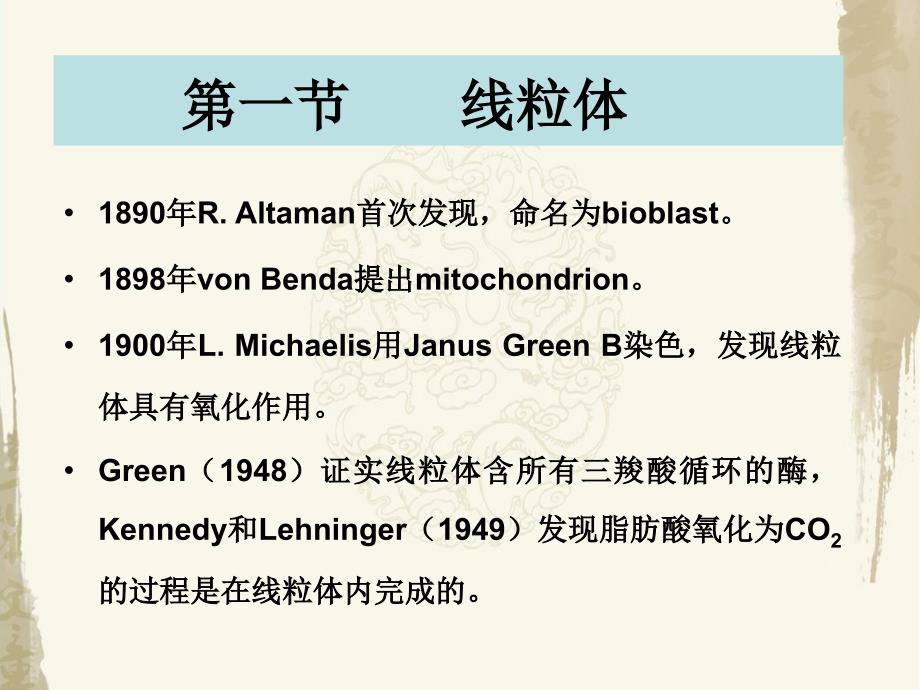 细胞生物学课件第六章线粒体和叶绿体_第3页