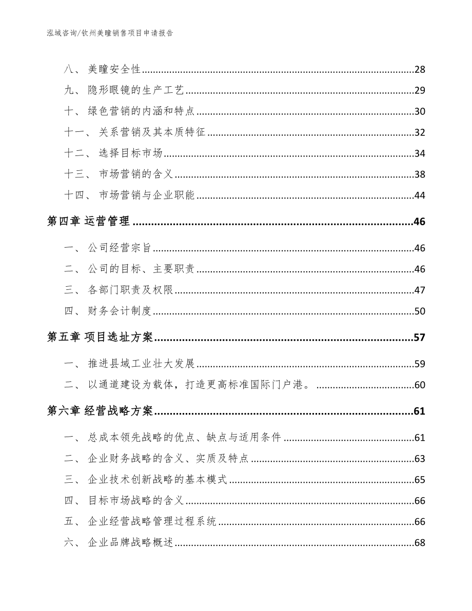 钦州美瞳销售项目申请报告_第2页