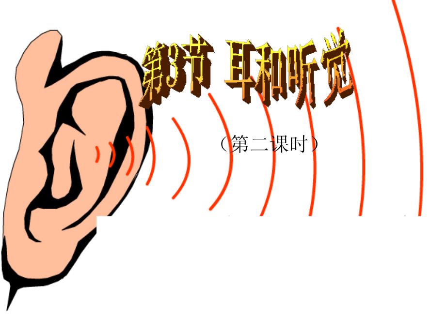 耳和听觉第二课时_第1页