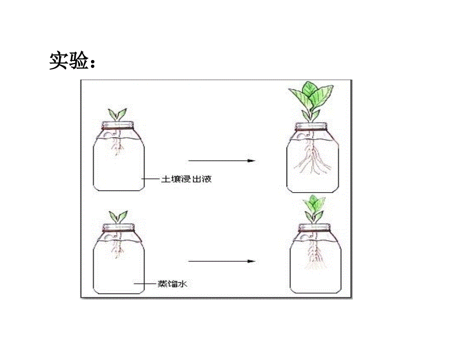 无机盐与植物的生长_第3页