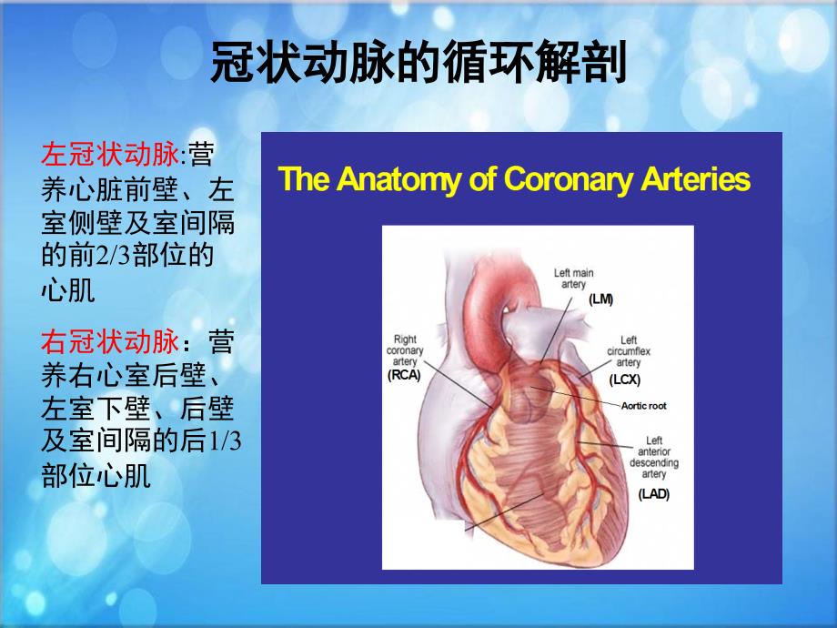 冠脉旁路移植术后的护理ppt课件_第3页