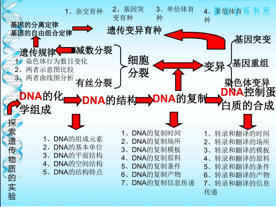 遗传变异的物质基础专题复习_第3页