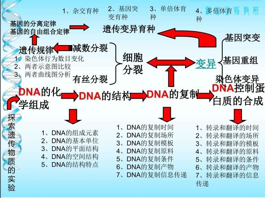 遗传变异的物质基础专题复习_第5页