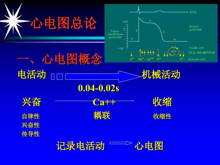 《心电图快速复习》PPT课件教学文案_第4页