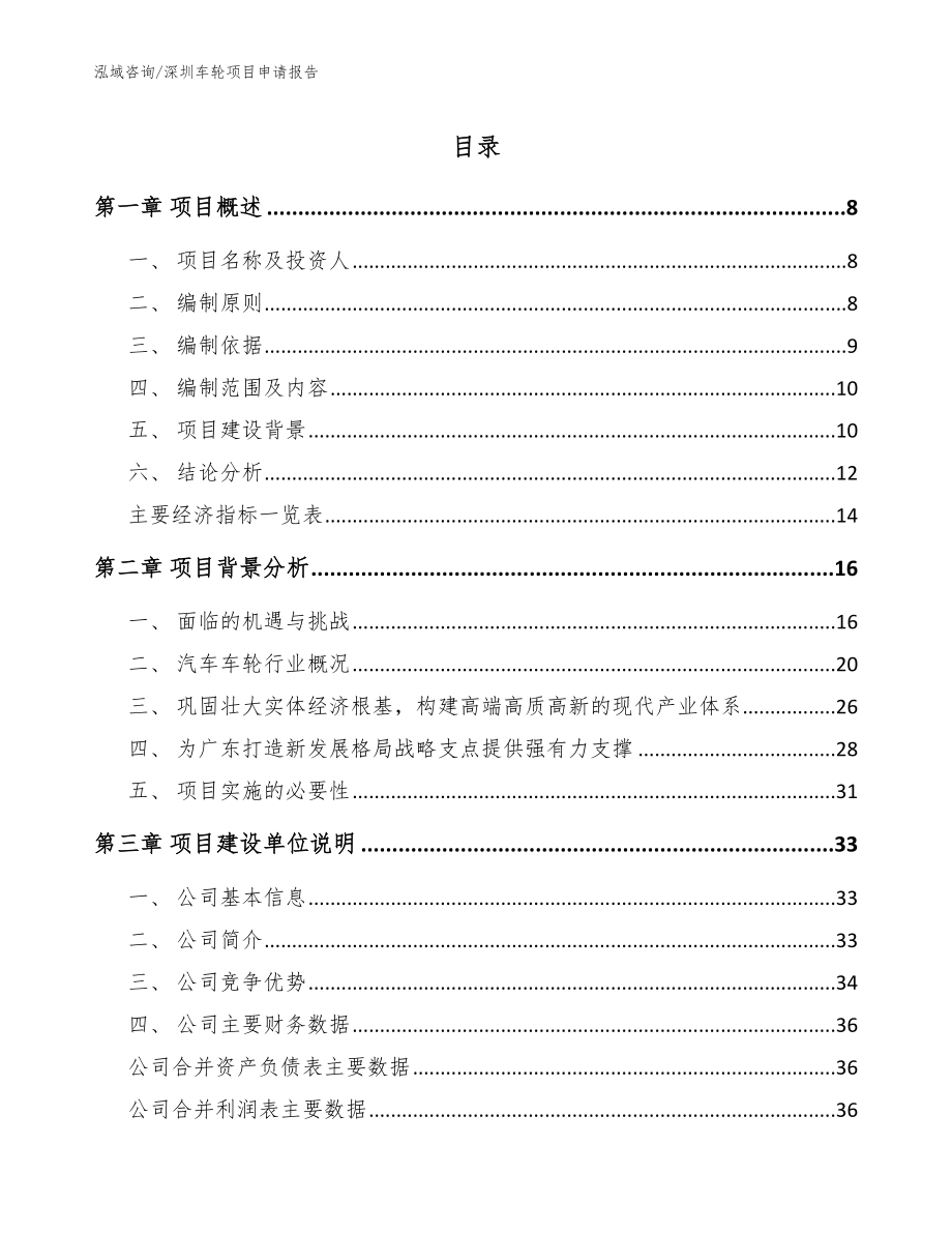 深圳车轮项目申请报告【参考模板】_第1页