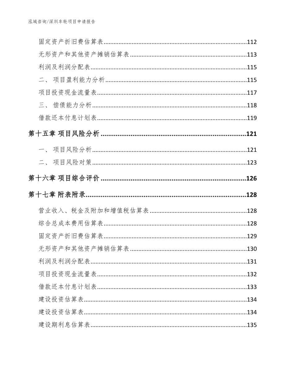 深圳车轮项目申请报告【参考模板】_第5页