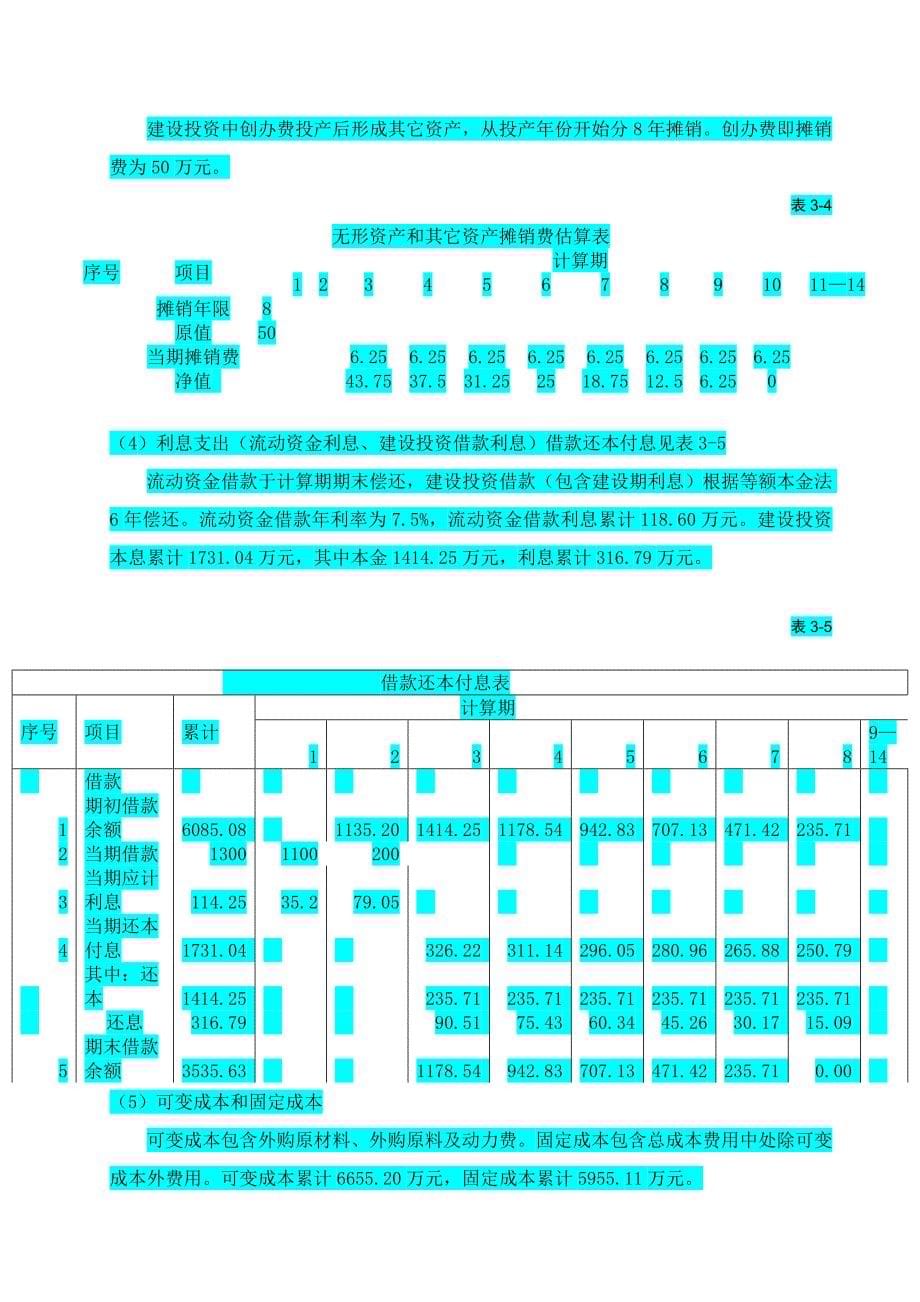 综合项目财务评价研究报告.doc_第5页