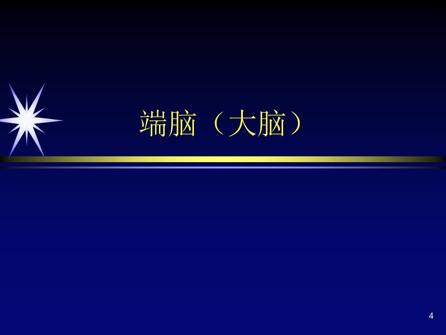 颅脑基本解剖医学PPT课件_第4页