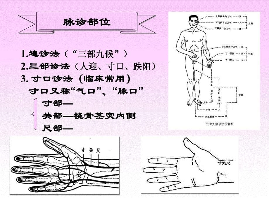 中医诊断学课件：脉诊4_第5页