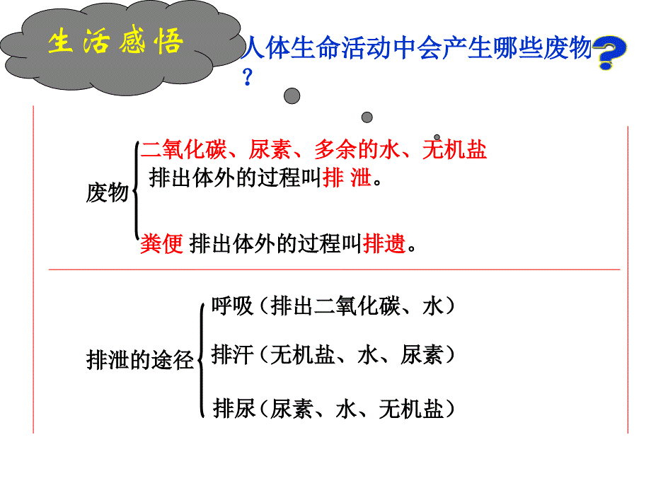 尿的形成和排出_第3页