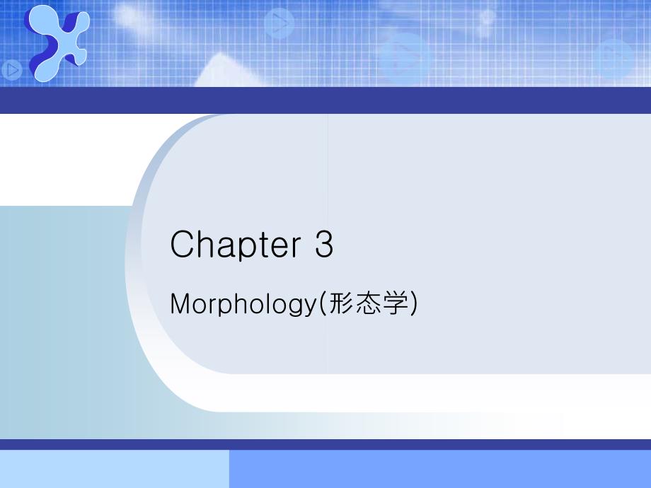 Morphology形态学_第1页