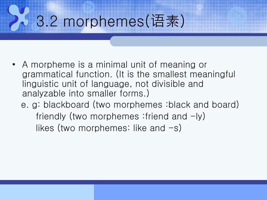 Morphology形态学_第3页