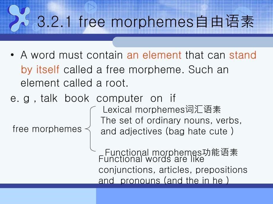 Morphology形态学_第5页