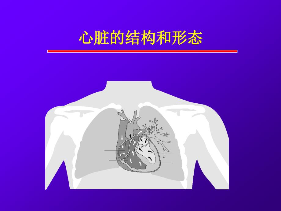 慢肾衰患者心脏结构与功能的评价_第2页